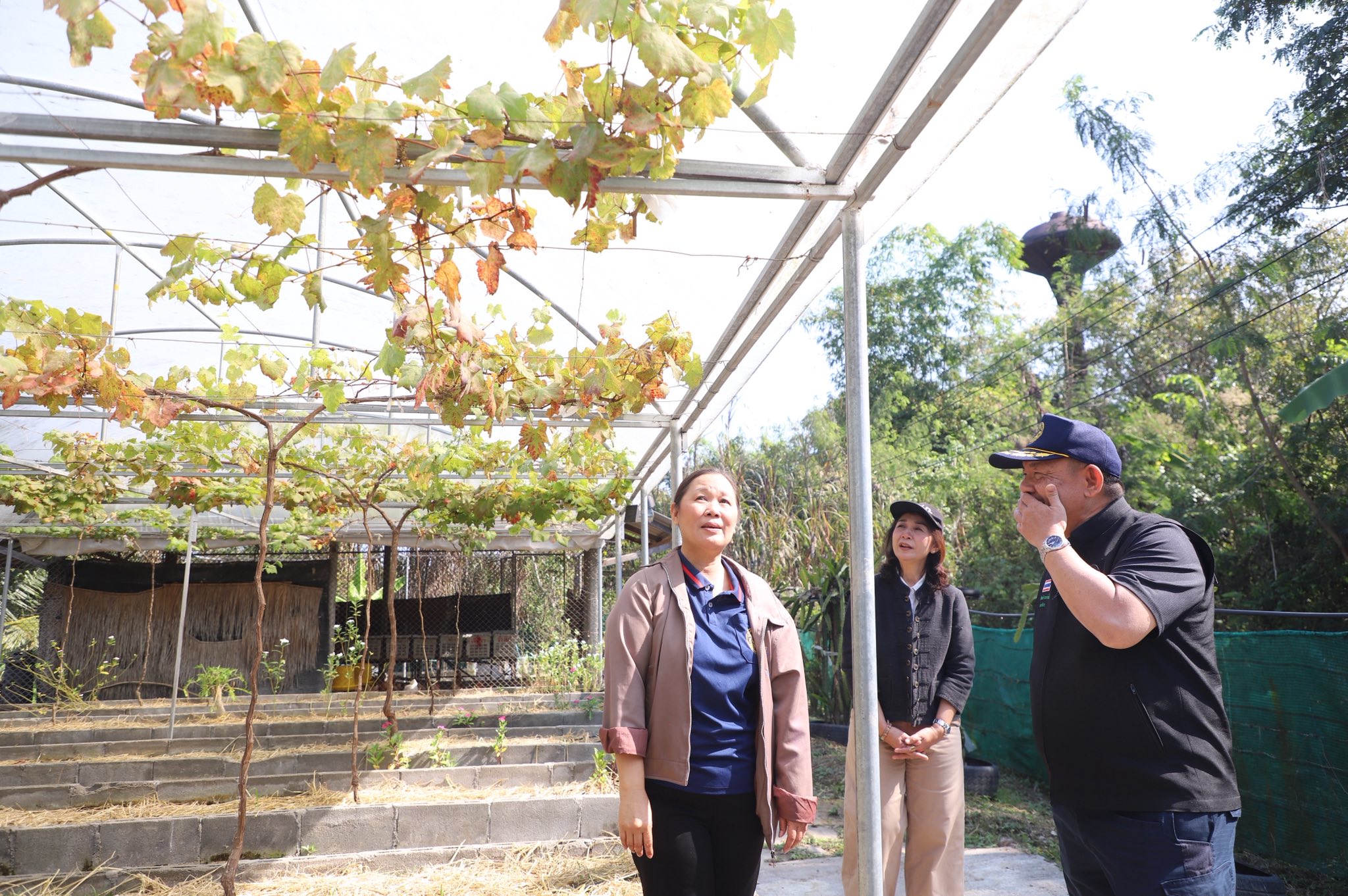 title - ”พลิกโฉมเกษตรกรสู่ผู้ประกอบการ“ ส.ป.ก.ลำพูน โชว์ความสำเร็จเกษตรอินทรีย์ครบวงจร ตั้งแต่แปลงปลูกสู่ตลาดพรีเมียม!!